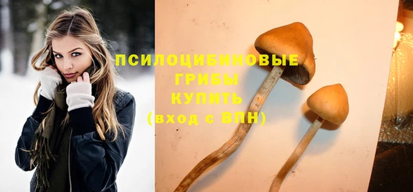 хмурый Абинск