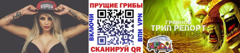 наркота  Руза  Галлюциногенные грибы Psilocybe 